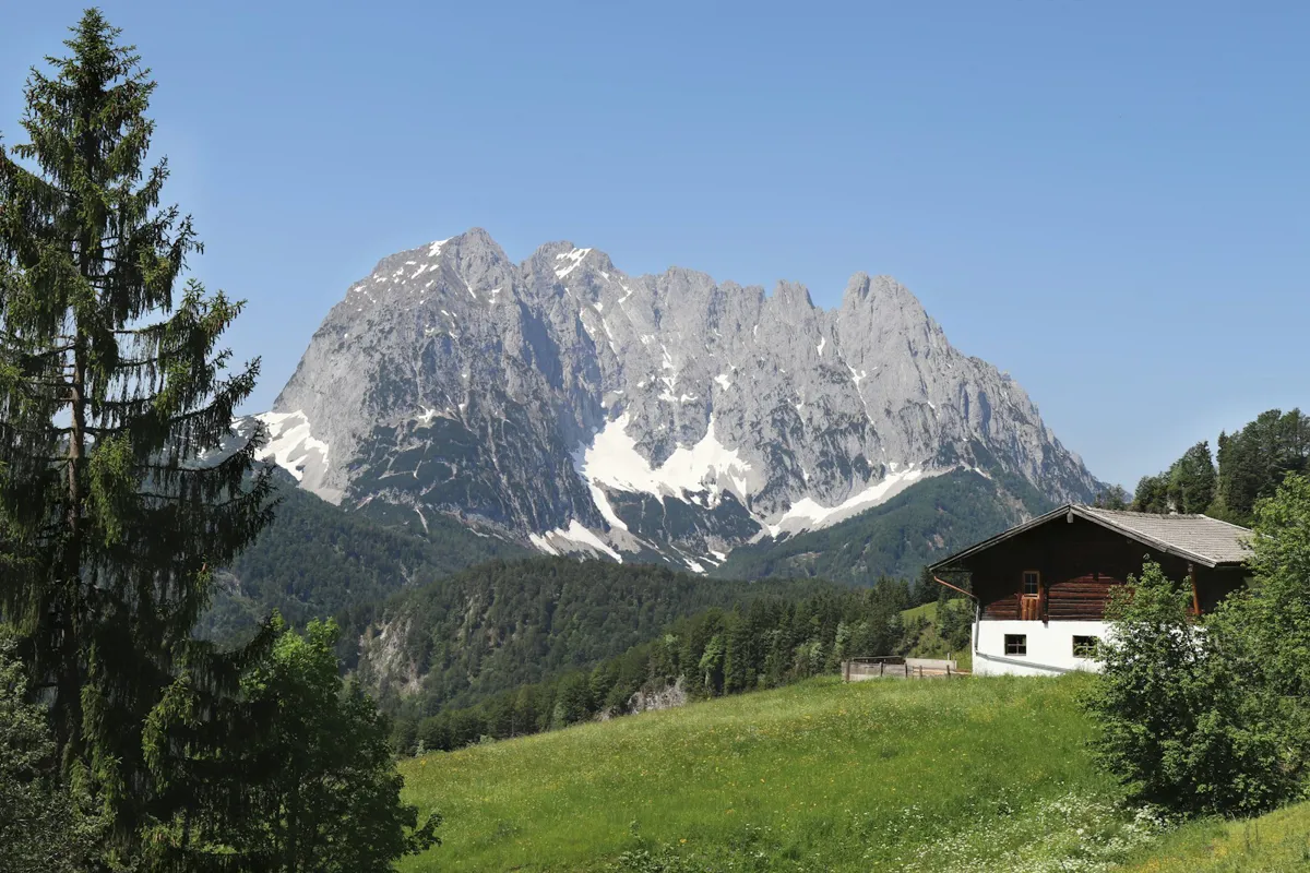 Holzhütte am Rand einer sonnigen Almwiese mit Tannen, dahinter ein mächtiges Kalksteinmassiv mit Schneefeldern