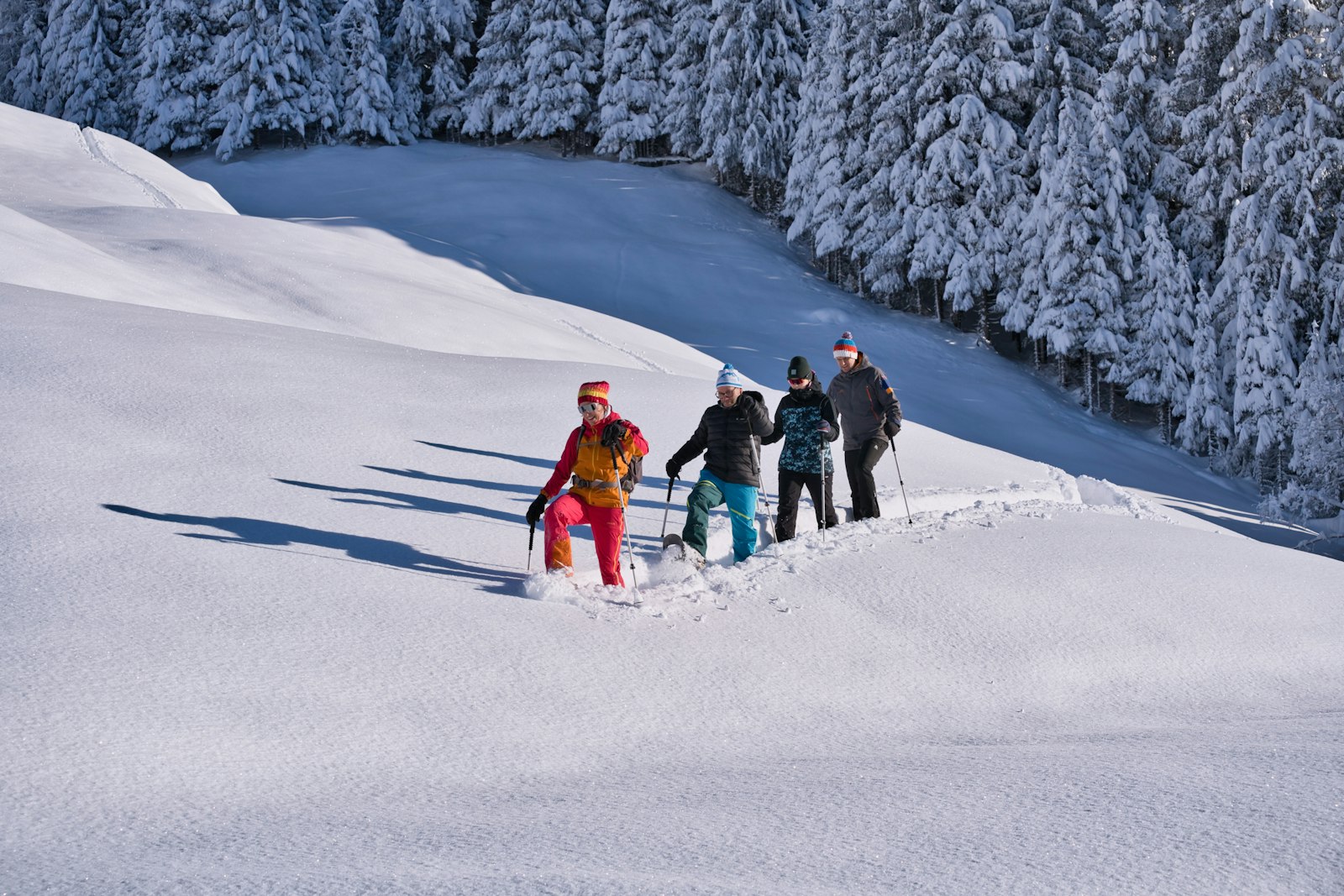 Schneeschuhwandern für Einsteiger